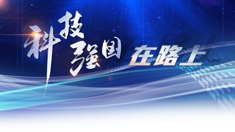 新药研发：外包与自研的差异化之路